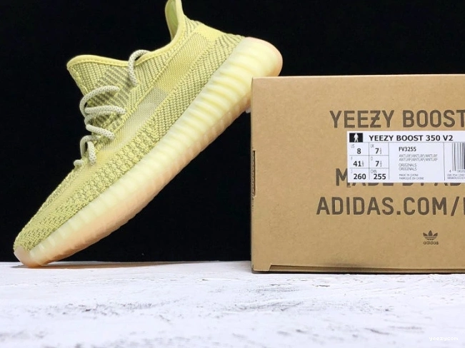 FV3255 350 V2 Reflective Adidas Yeezys Antlia 1103